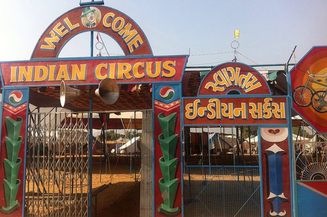 India weighs circus ban | In Other News