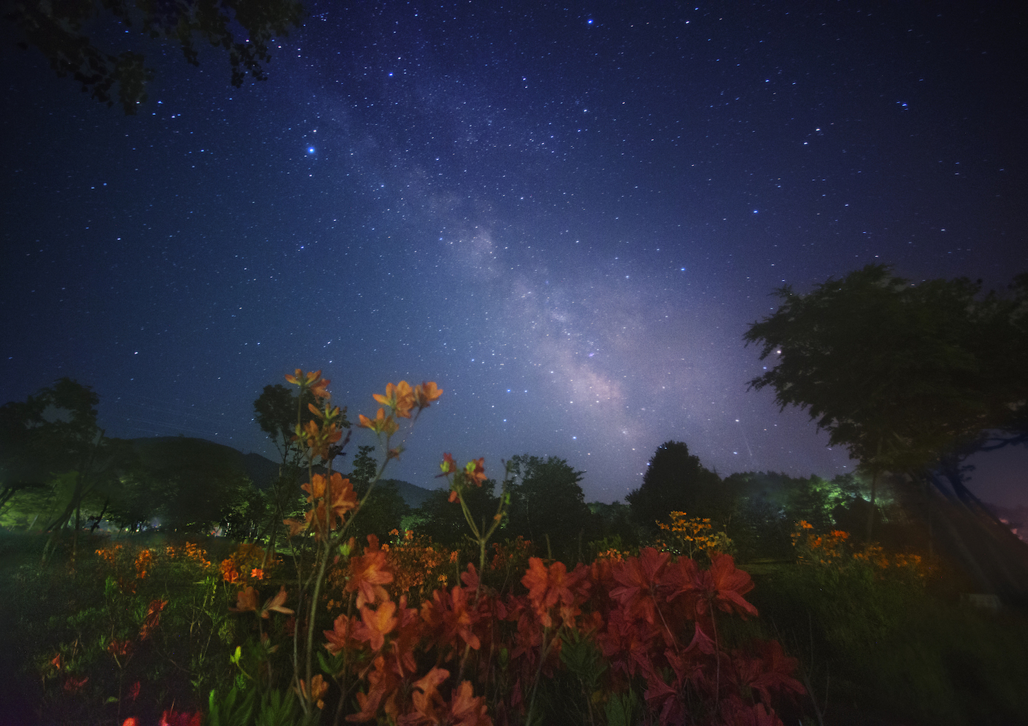 Namiai Starry Sky Park Achi Japan Stargazing Tokyo Weekender