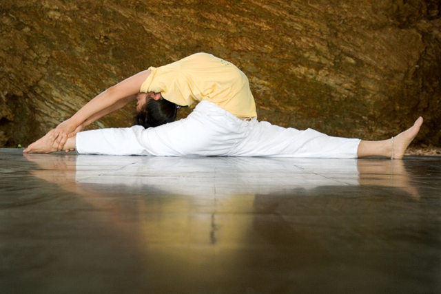 Sivananda Sequence Yoga - Walking the Path
