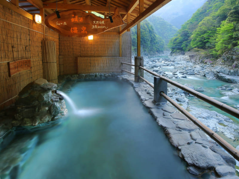 tokyo day trip onsen