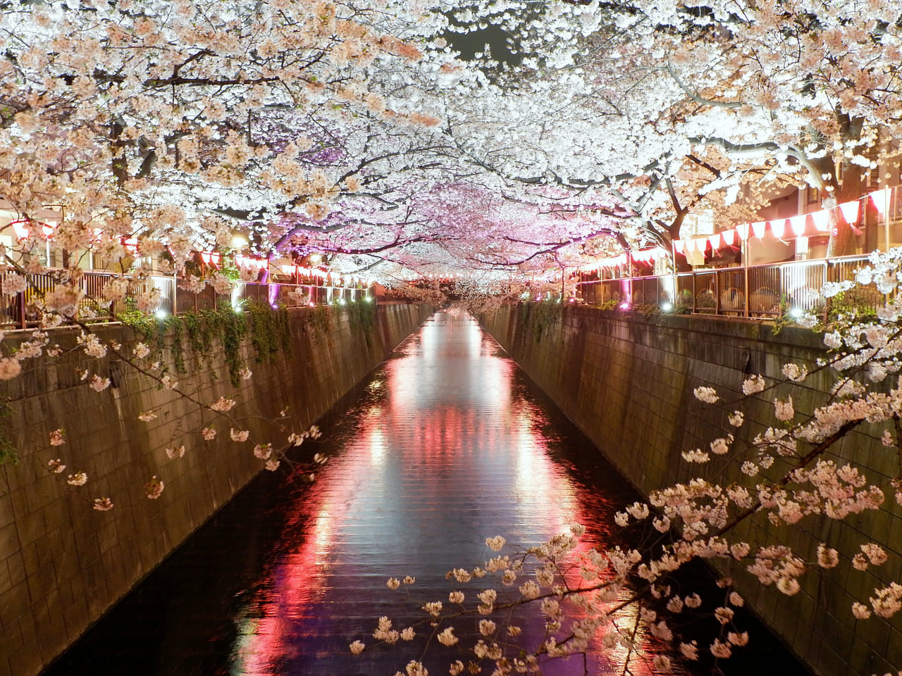 Most Beautiful Places In Tokyo