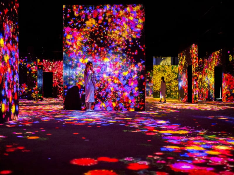 Mori Building Digital Art Museum teamLab Borderless | Tokyo Weekender