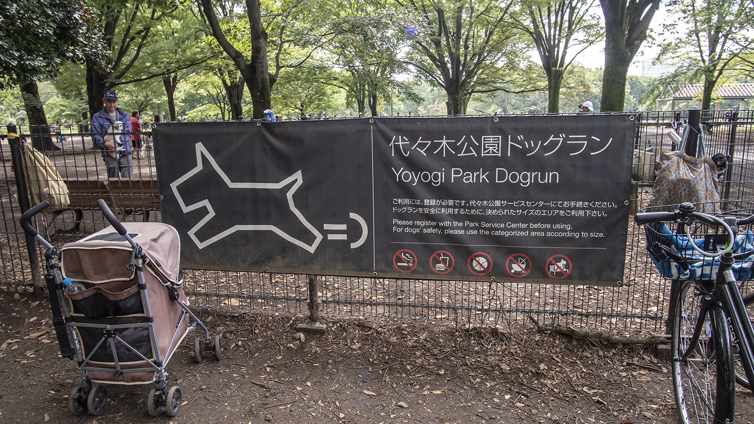 Dog Yoyogi Park Tokyo Weekender