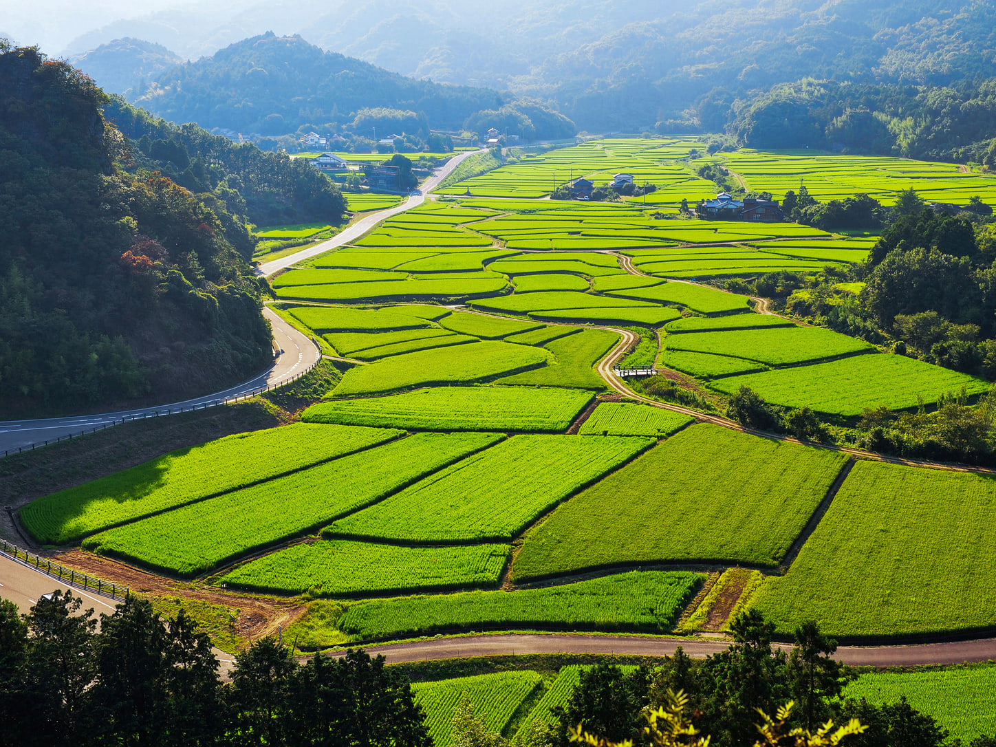 4 Of The Best Farm Homestays For Experiencing Rural Japan In Oita 