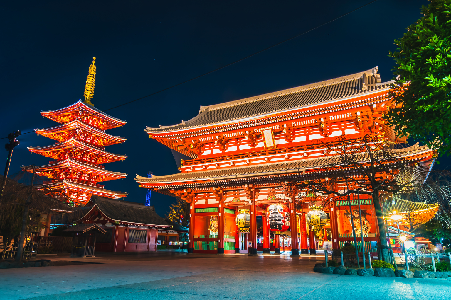 The Alternative Guide to Tokyo Nightlife From Night-Time Surfing to ...
