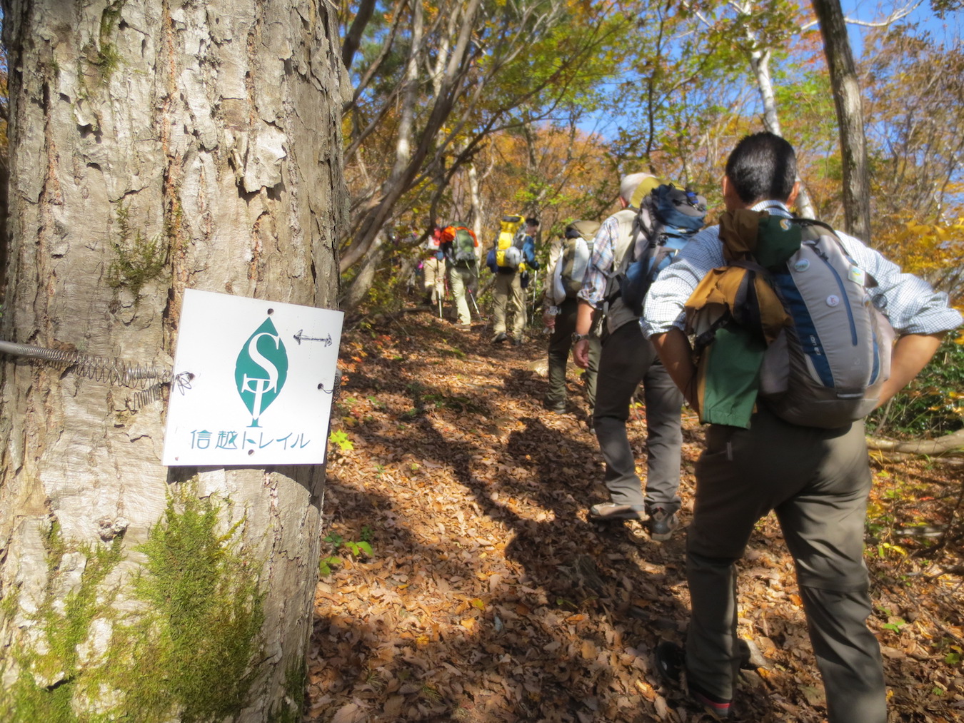 Discover Why the Shin-etsu Trail is Japan's Ultimate Hike | Tokyo