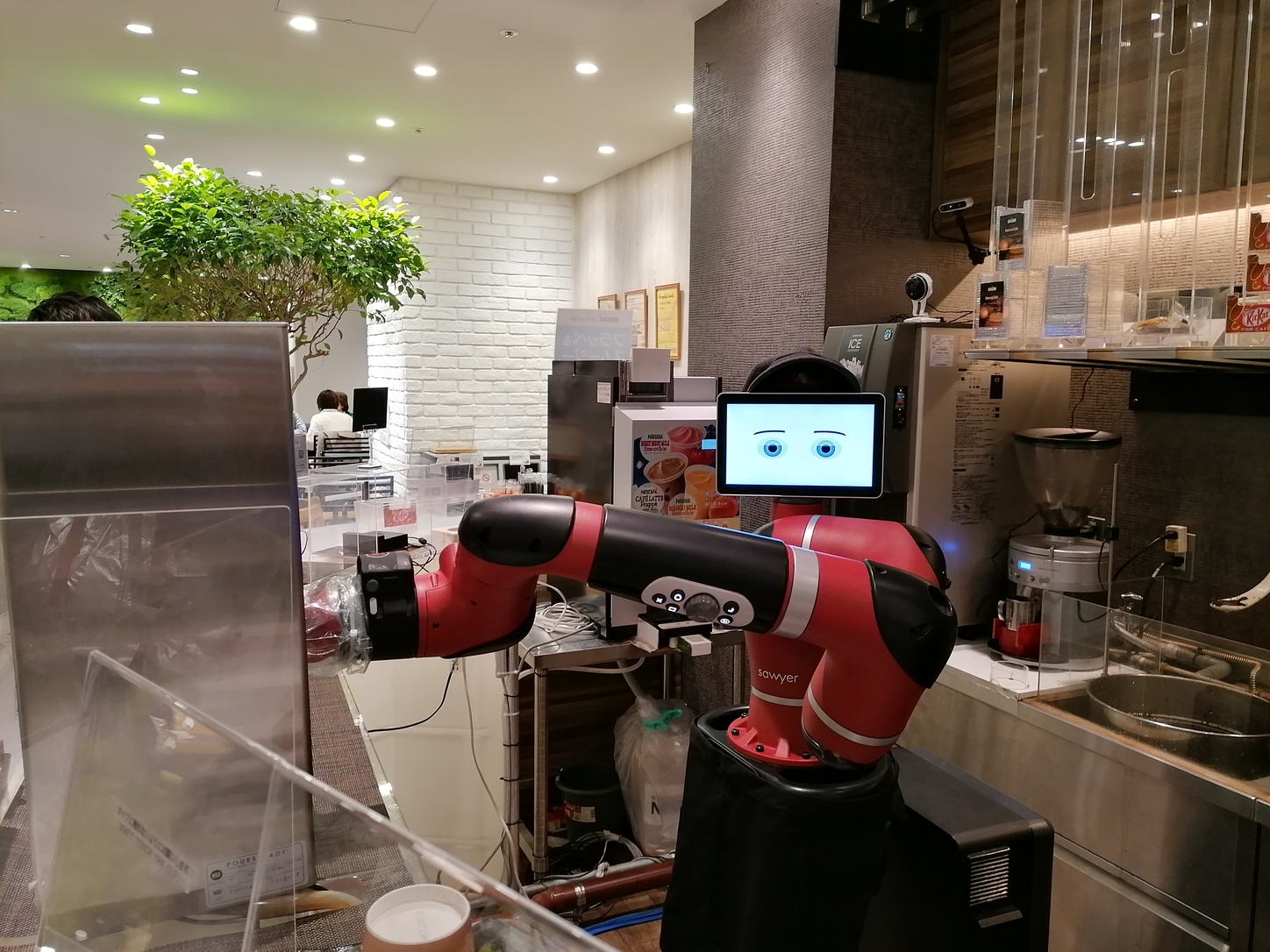 tokyo tourist robots