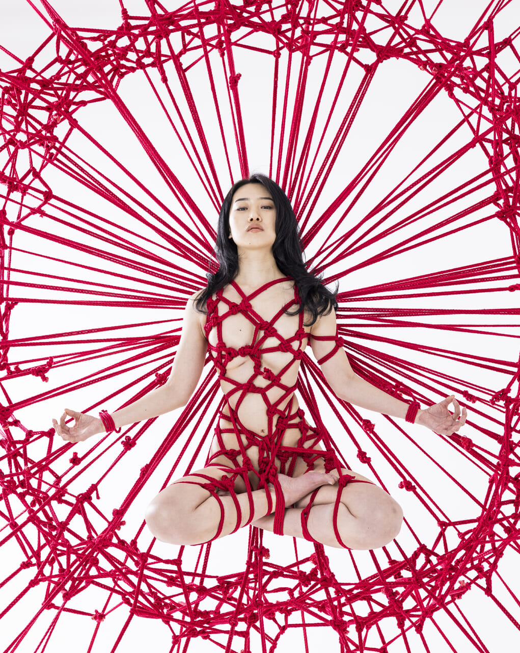 Shibari art