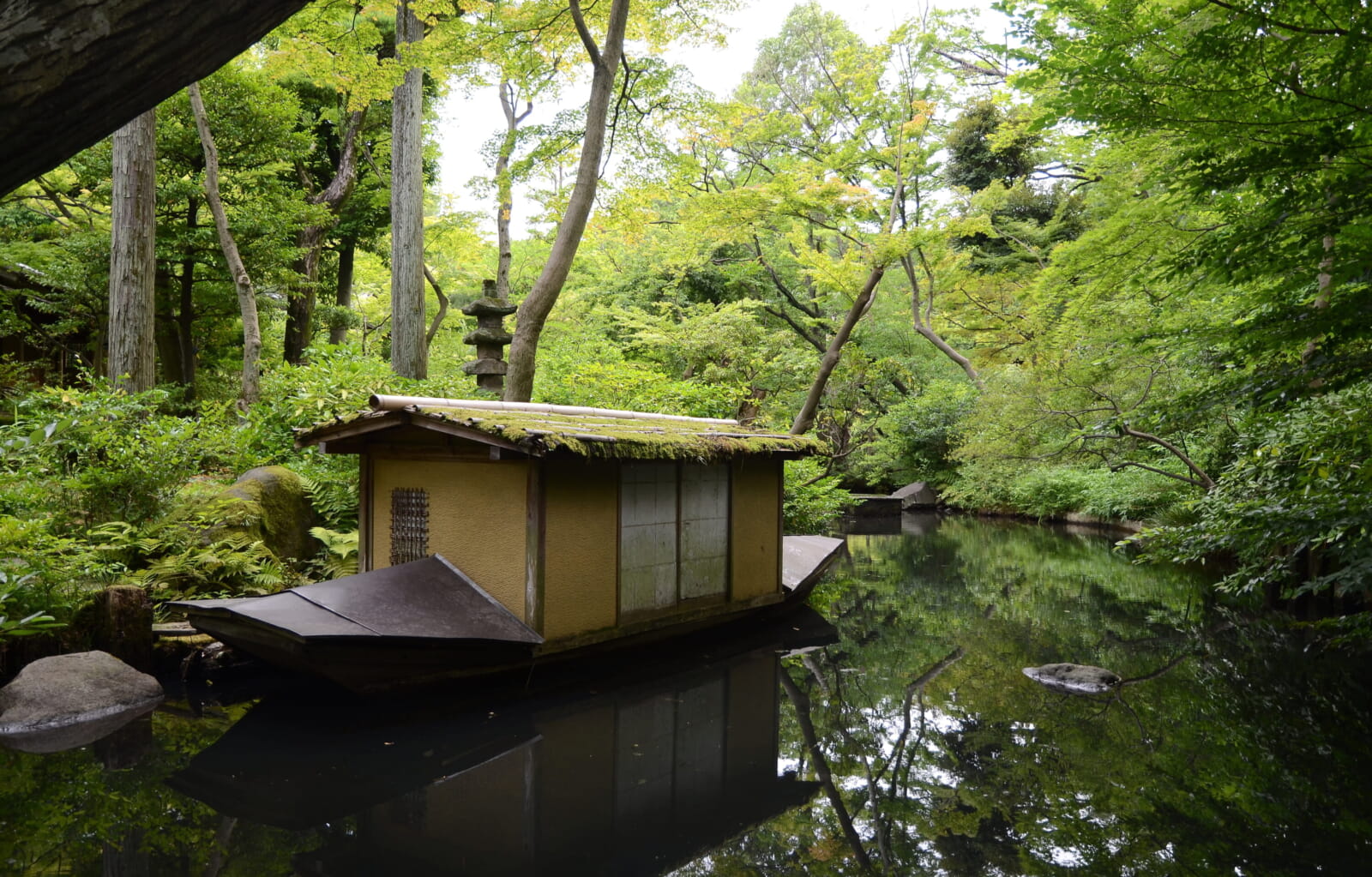 typical-japanese-garden-with-a-tea-house-in-summer-tokyo