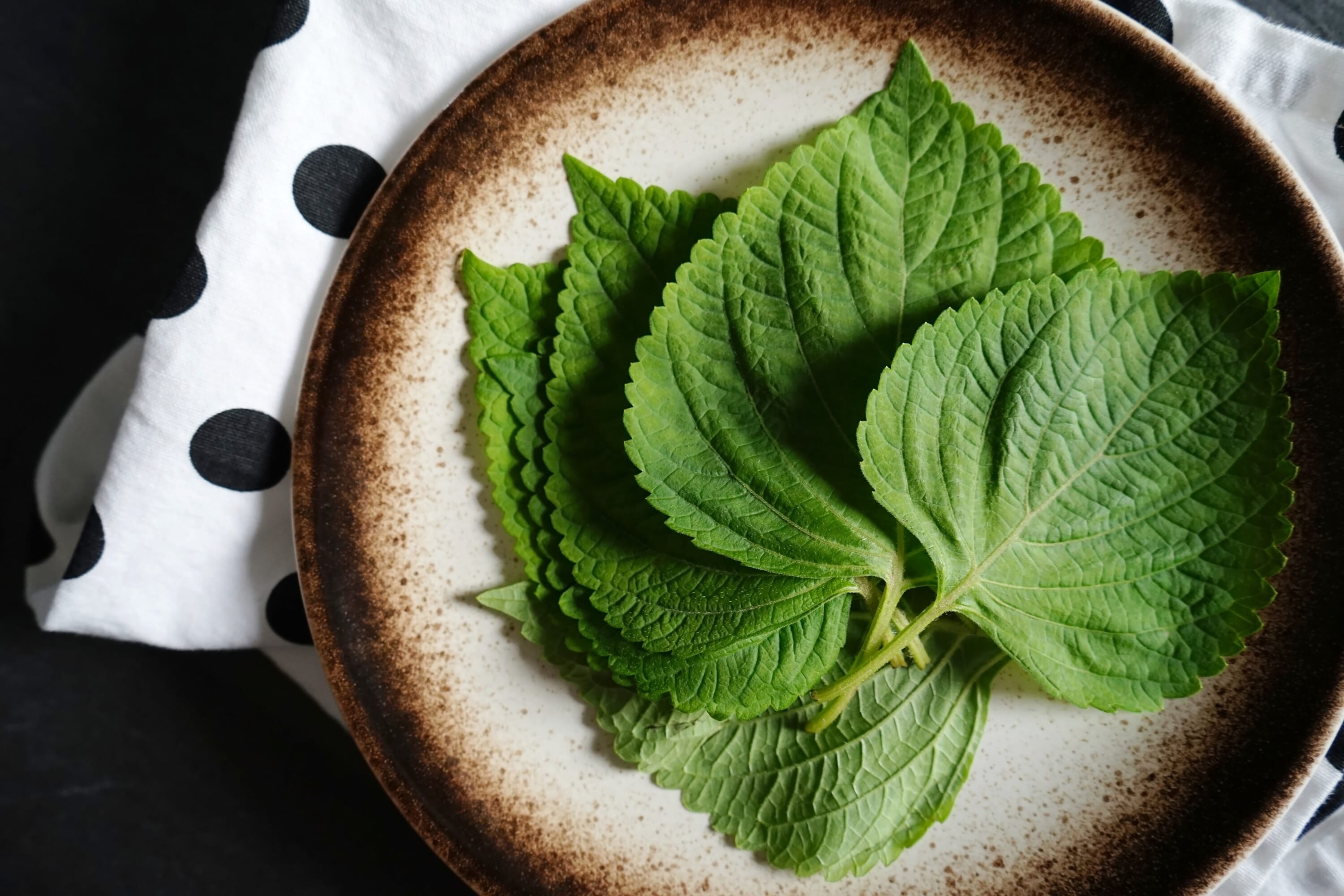 what-is-shiso-a-guide-to-japan-s-favorite-herb-tokyo-weekender