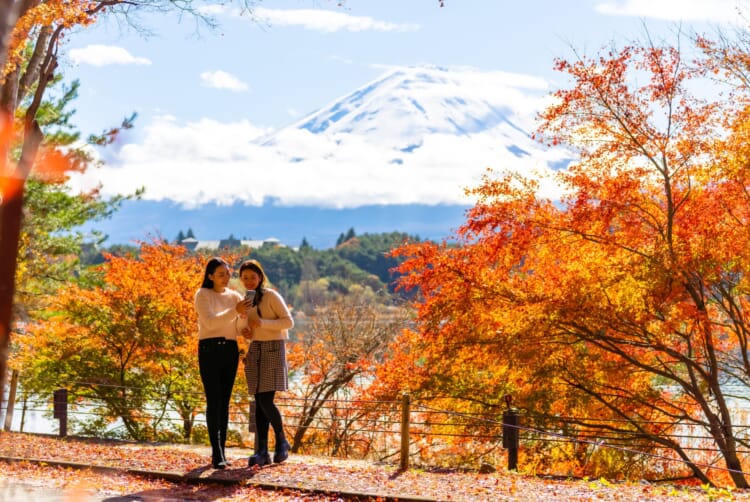 All About Autumn Leaves: Japan's Fall Pursuit | Tokyo Weekender
