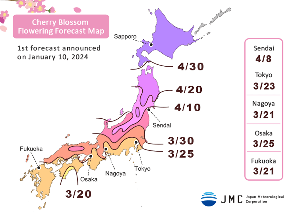 Japan Cherry Blossom Forecast 2024 The Best Times to See Sakura