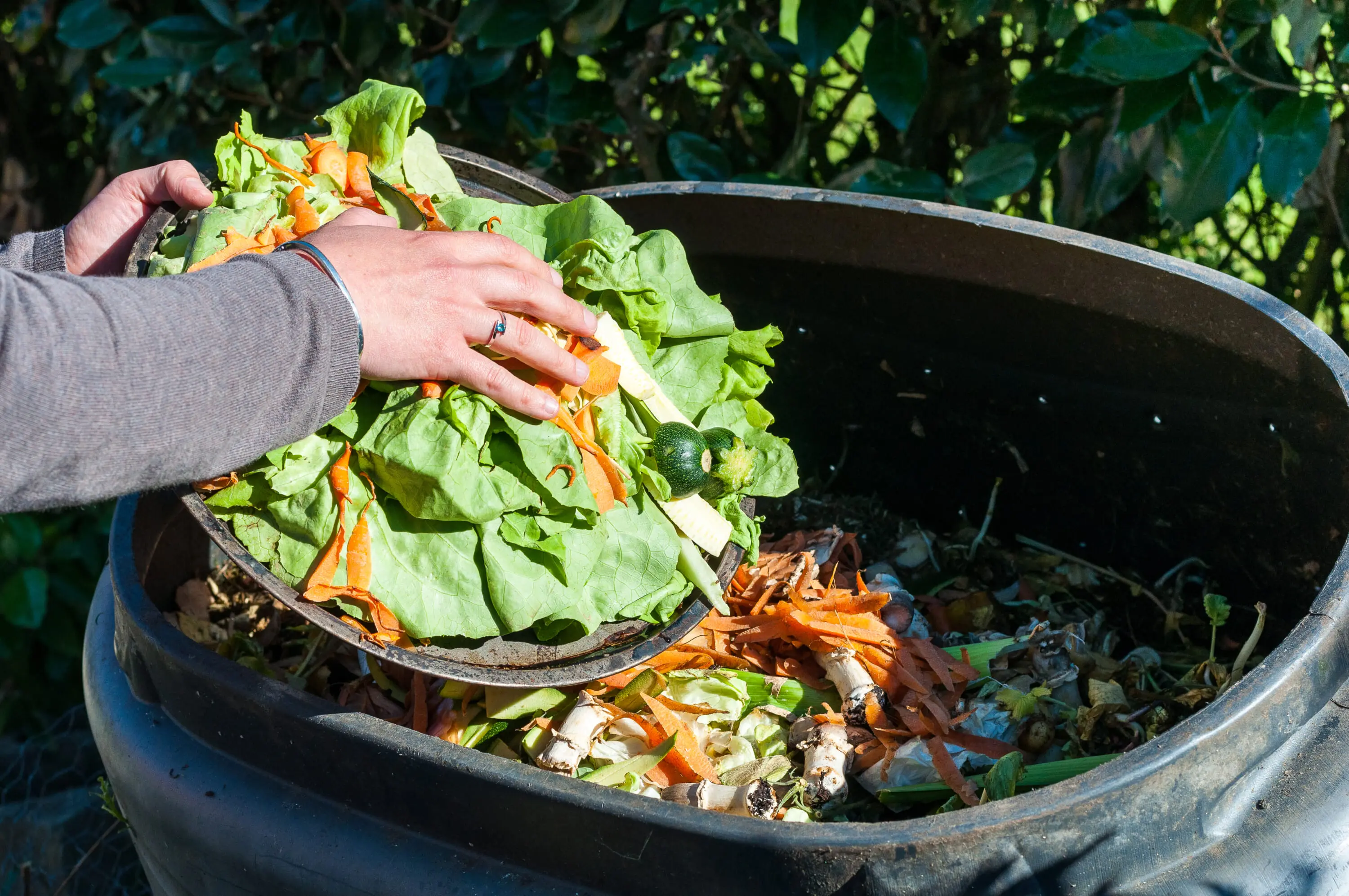 japan food waste