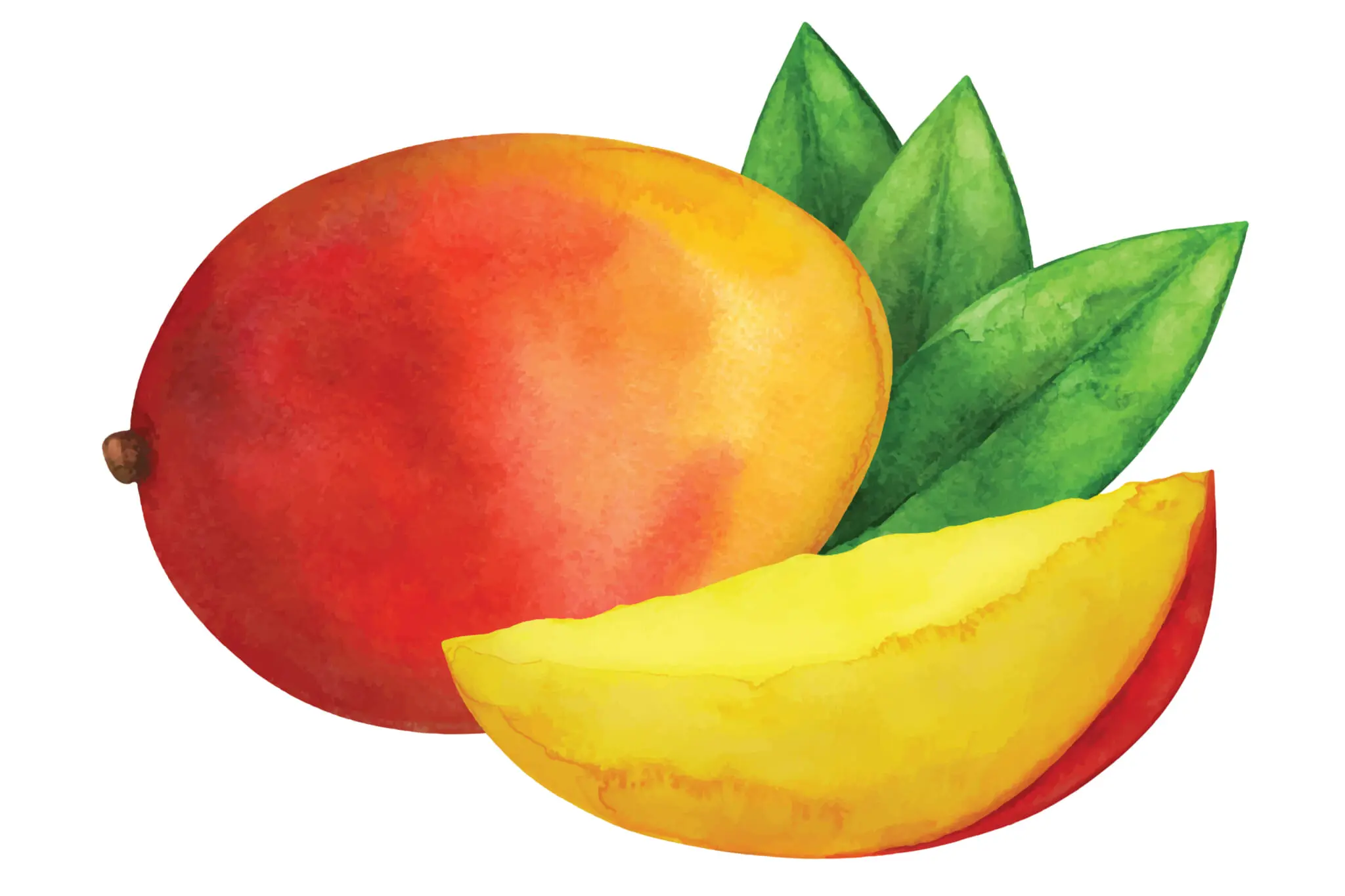 miyazaki mango