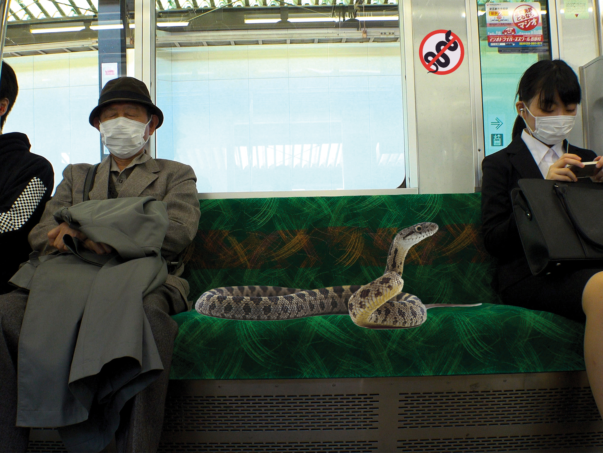 snake on a train japan