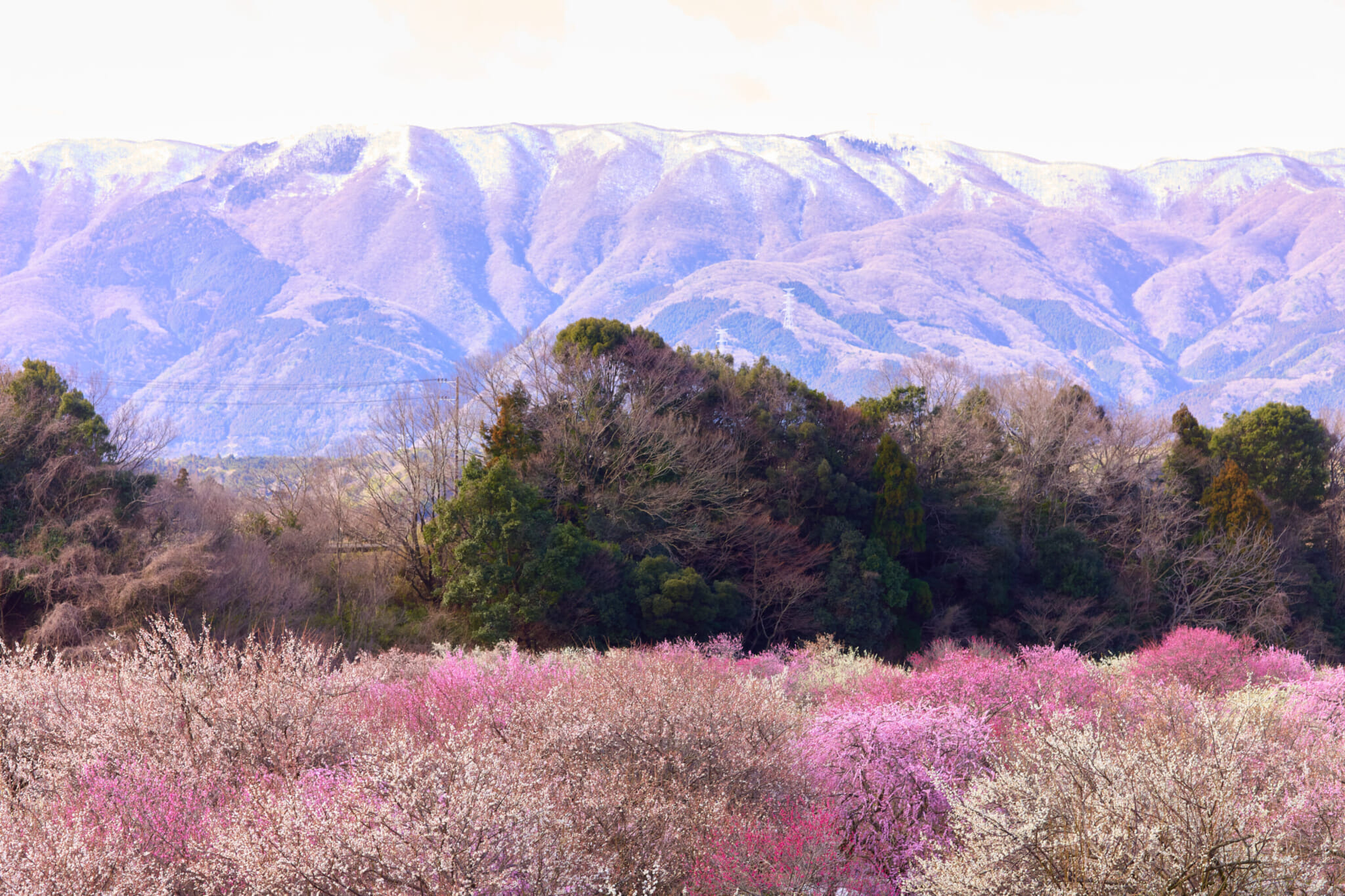 inabe city