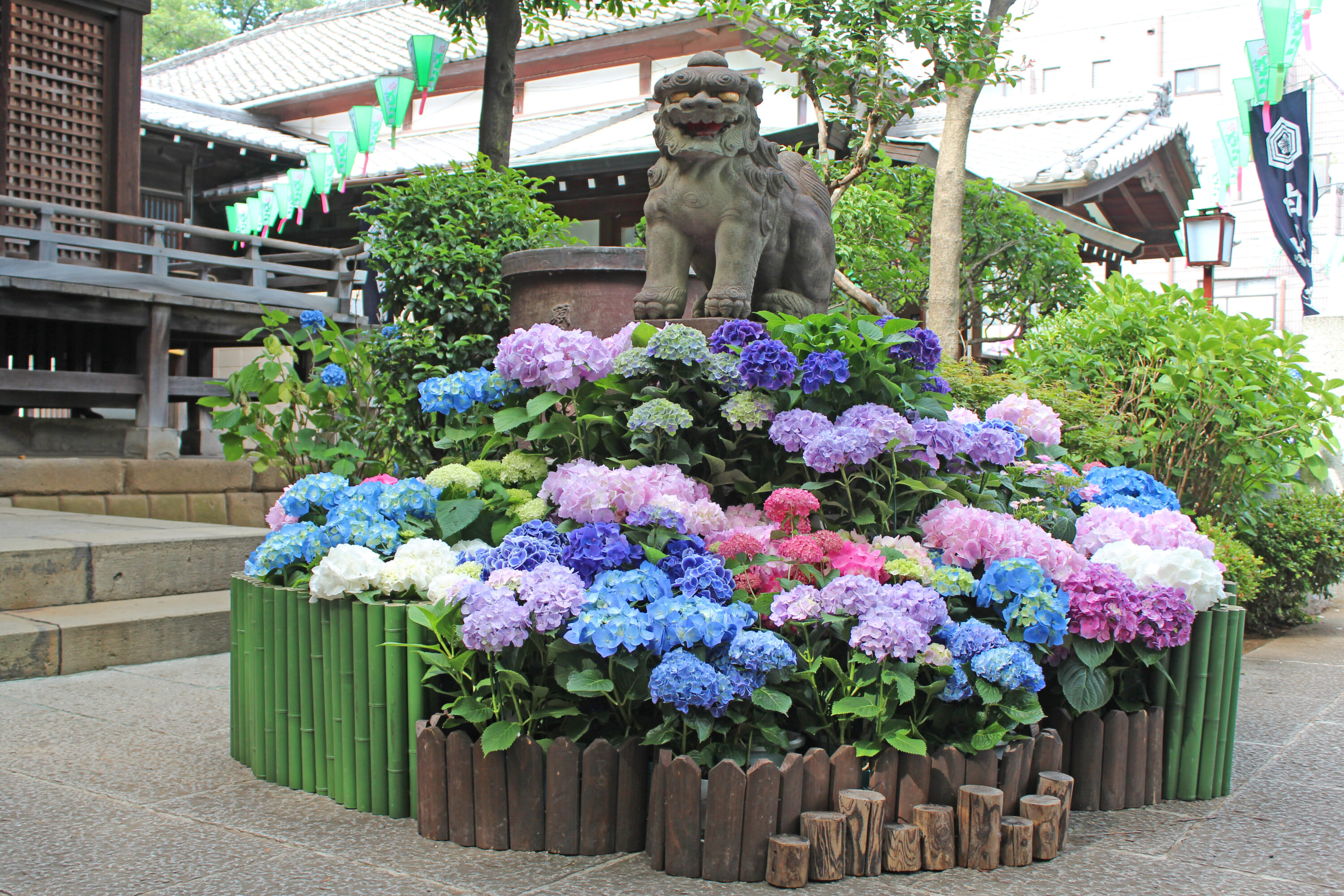 best hydrangea spots in tokyo
