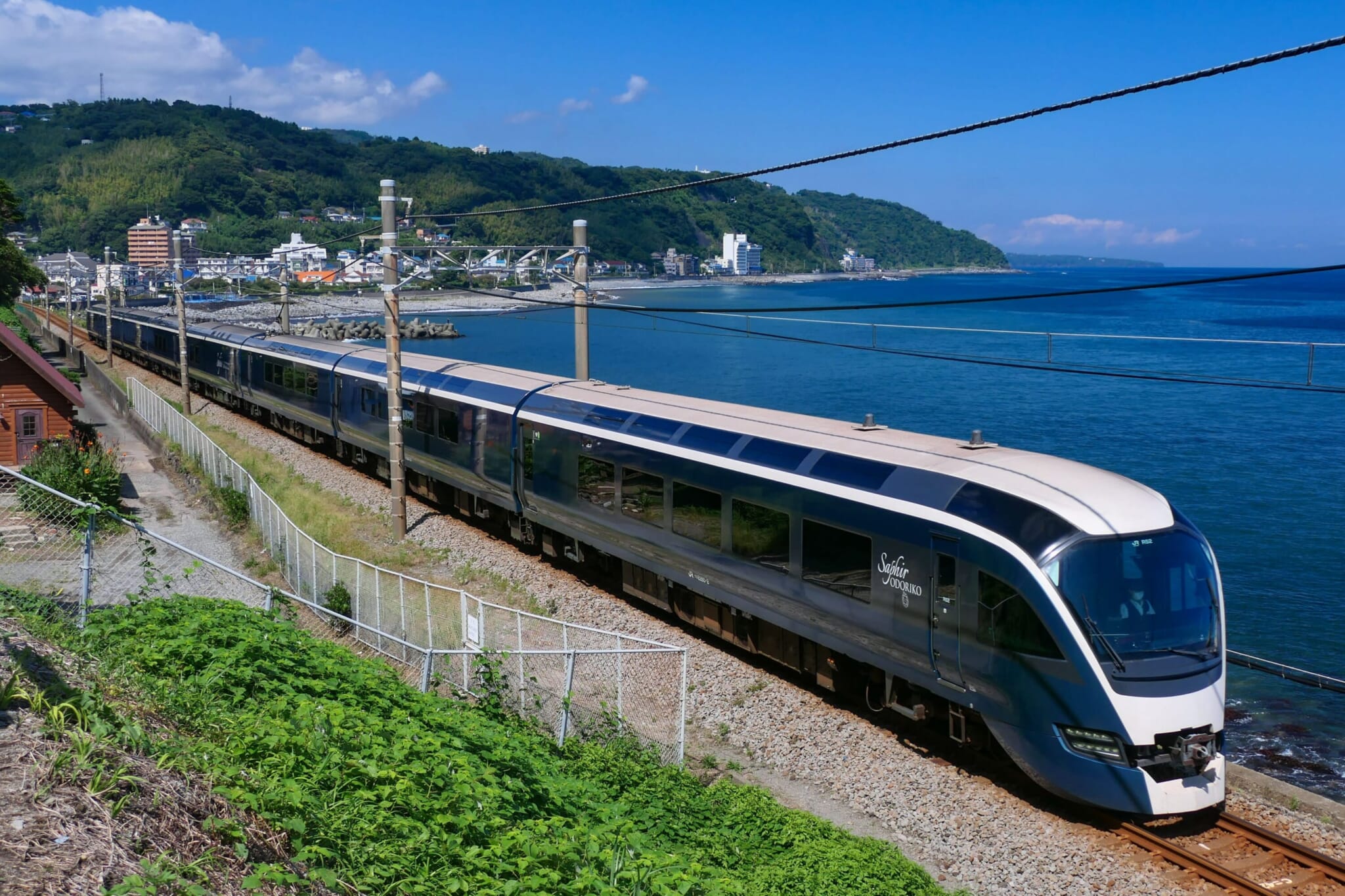 Japan’s Scenic Trains: Your Ticket to Stunning Views and Relaxing Travel