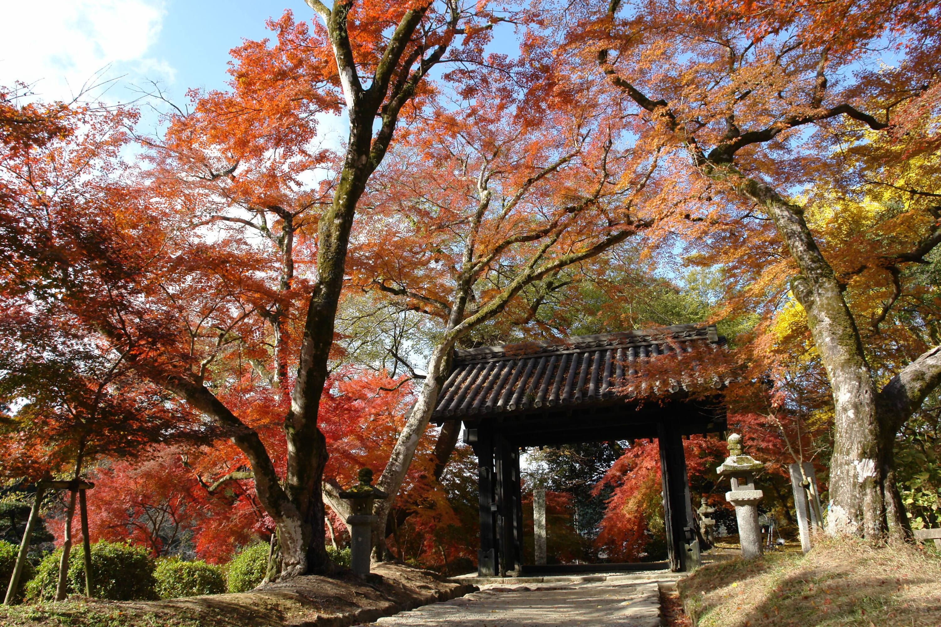 fukuoka fall guide