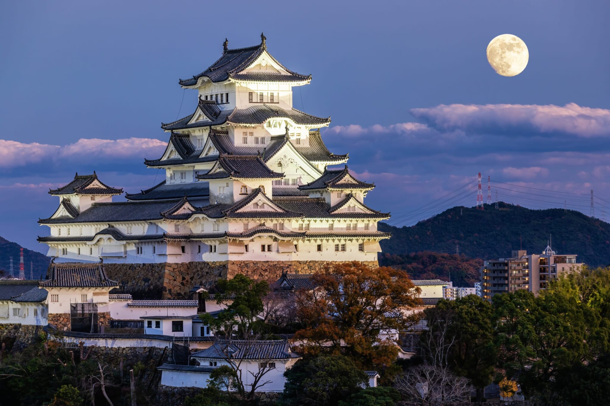 Himeji Castle night moon