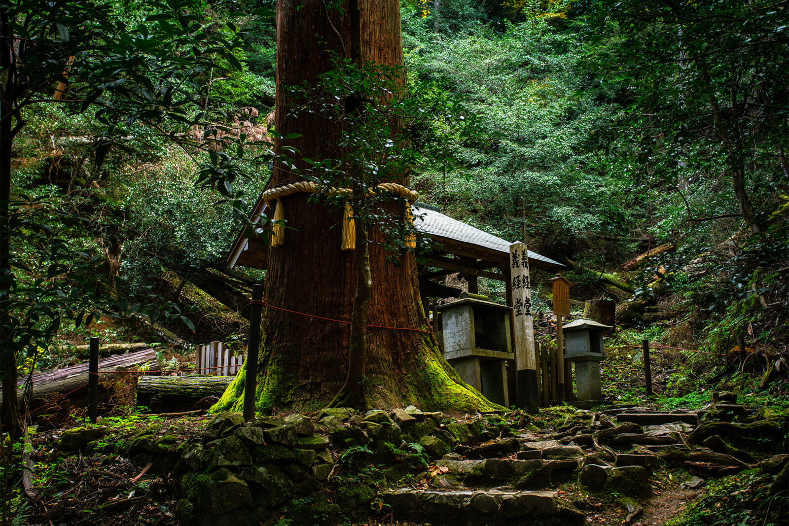 mount kurama, kyoto