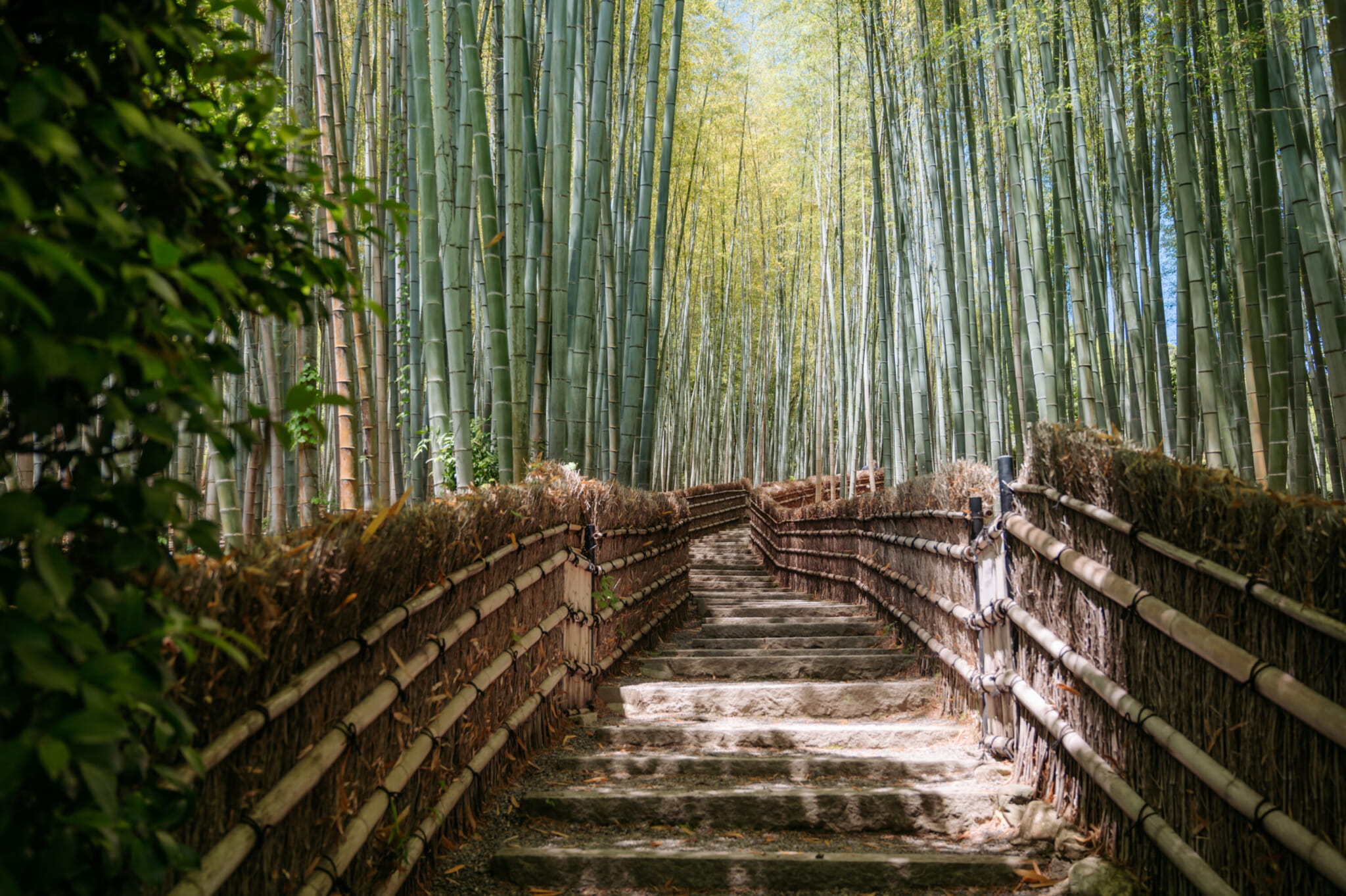 alternative less crowded temples and shrines in kyoto