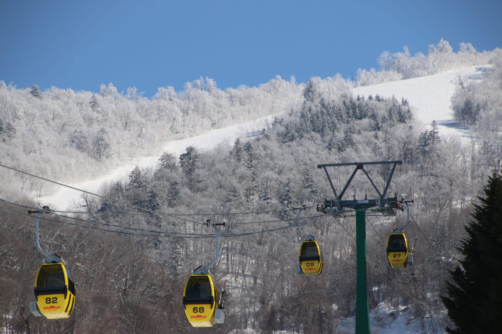 Hokkaido Powder Belt