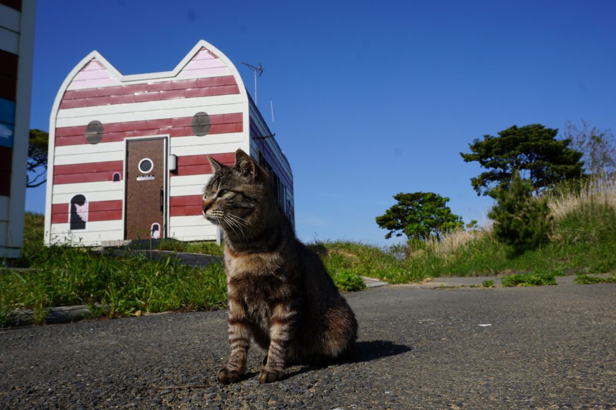 Manga Island Cabins Tashirojima