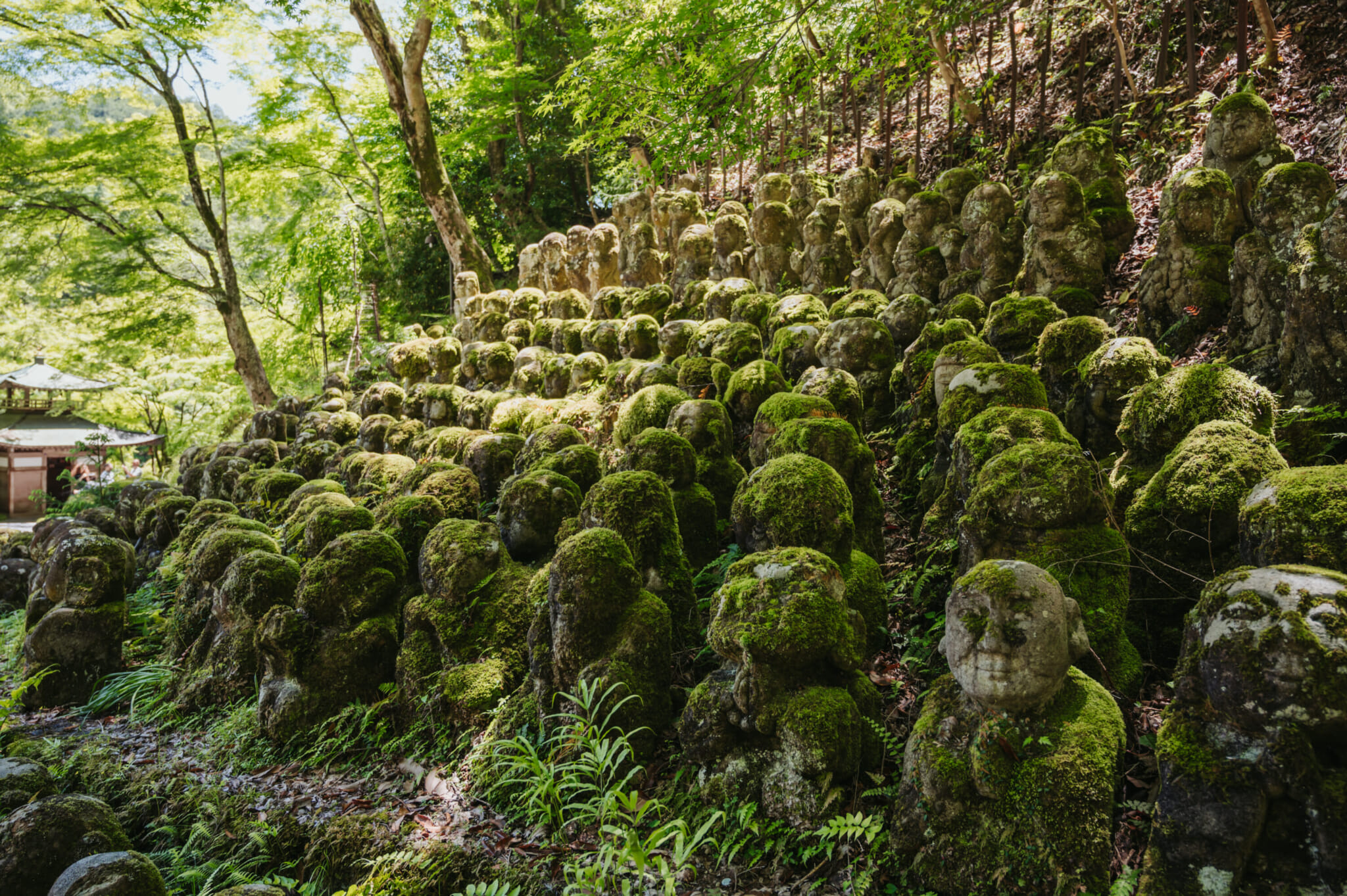 alternative less crowded temples and shrines in kyoto