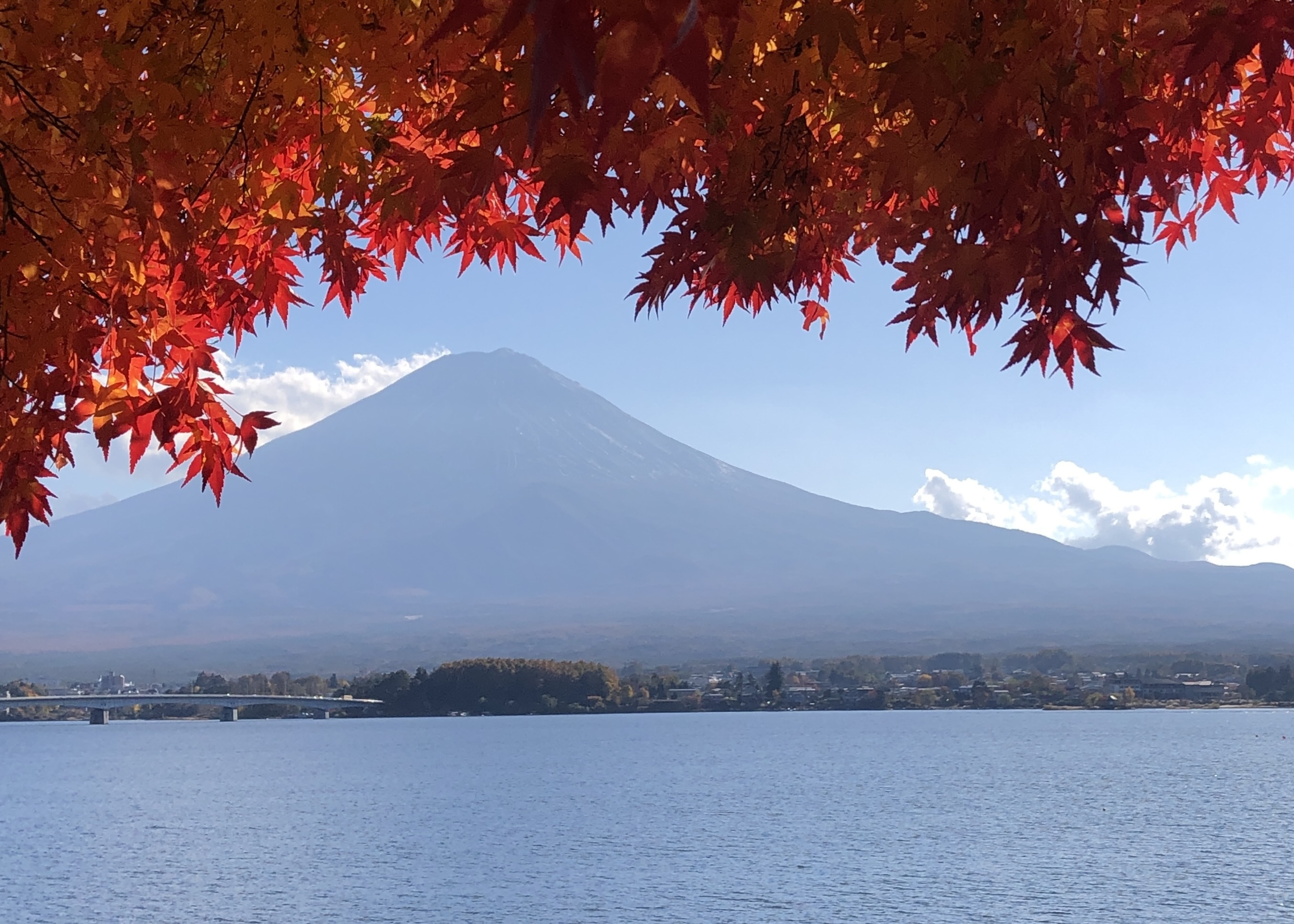 mount fuji in fall no snow