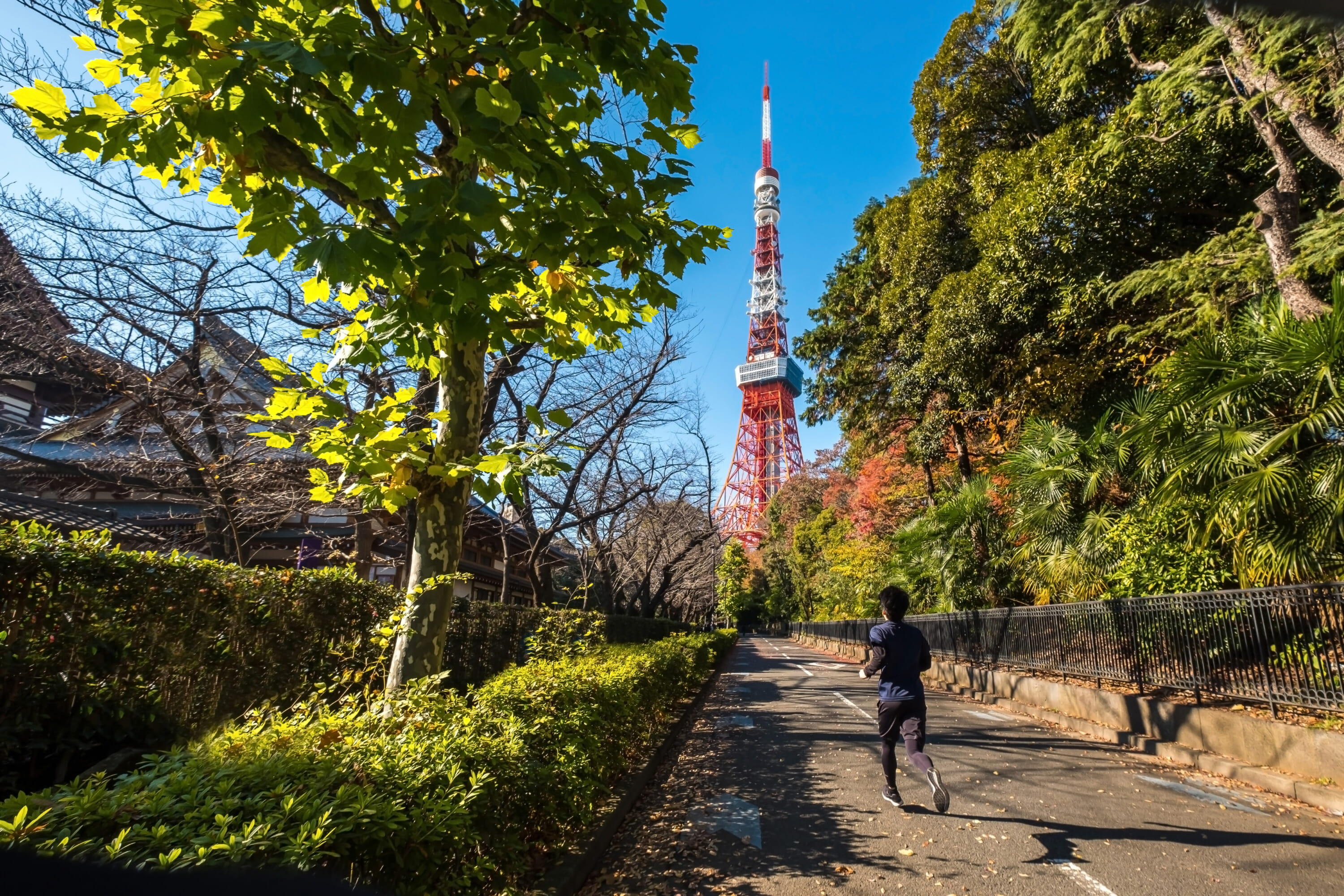 市内を通る最良のルート