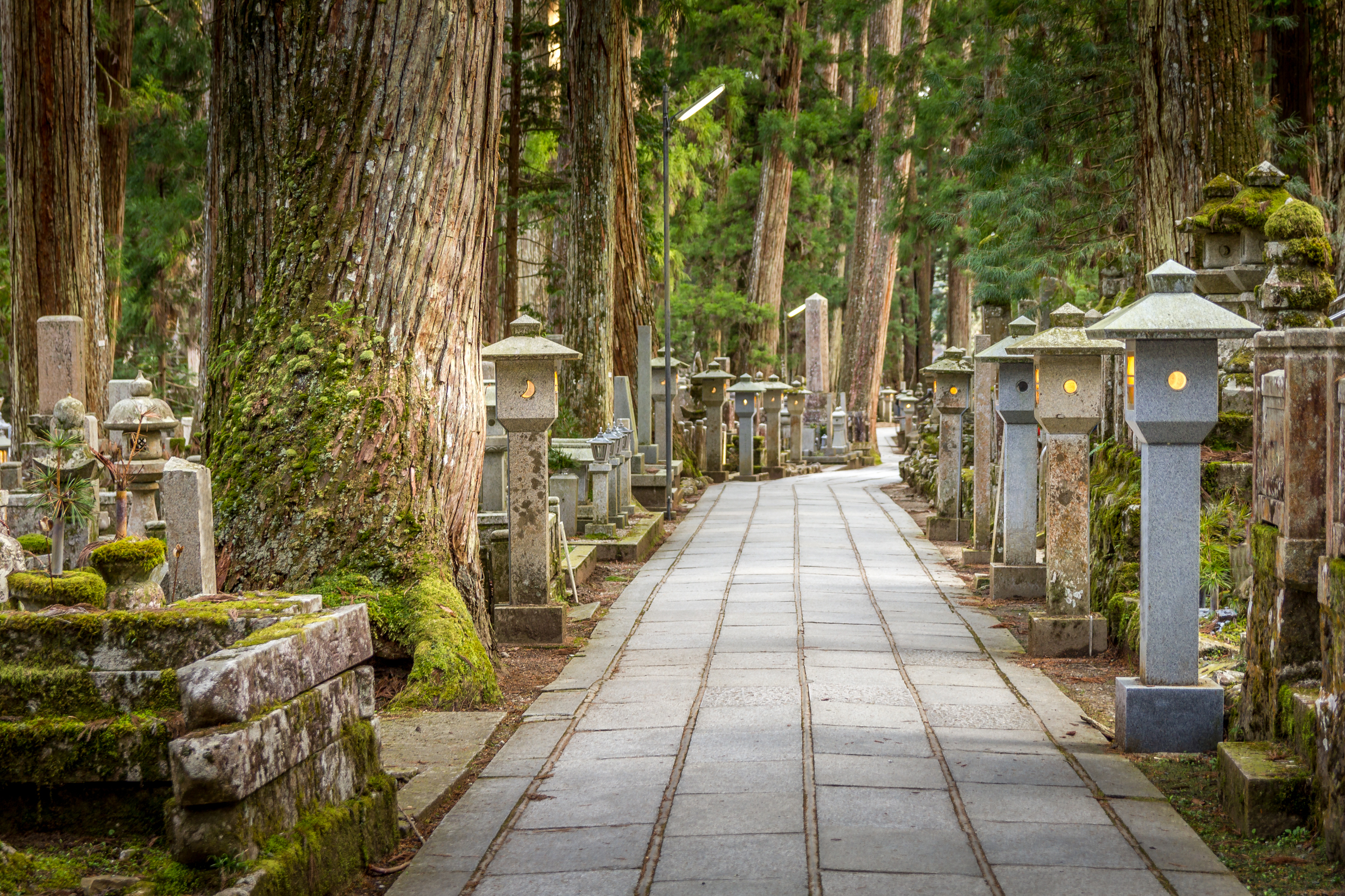 japan power spots koyasan