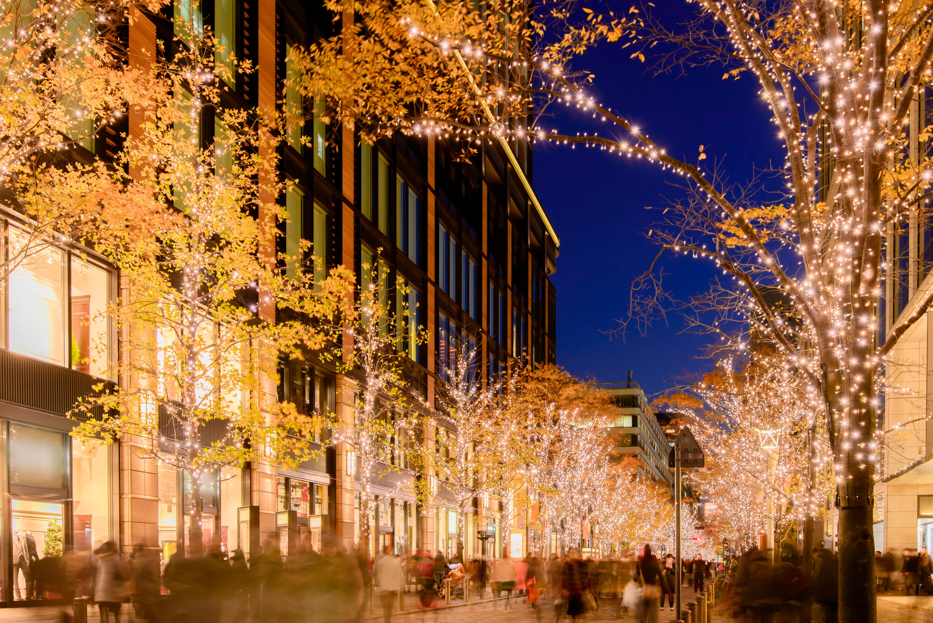 Winter illuminations in Marunouchi 