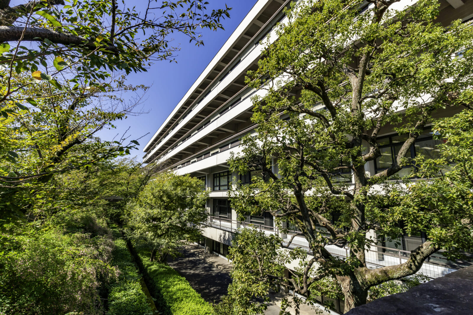 National Diet Library