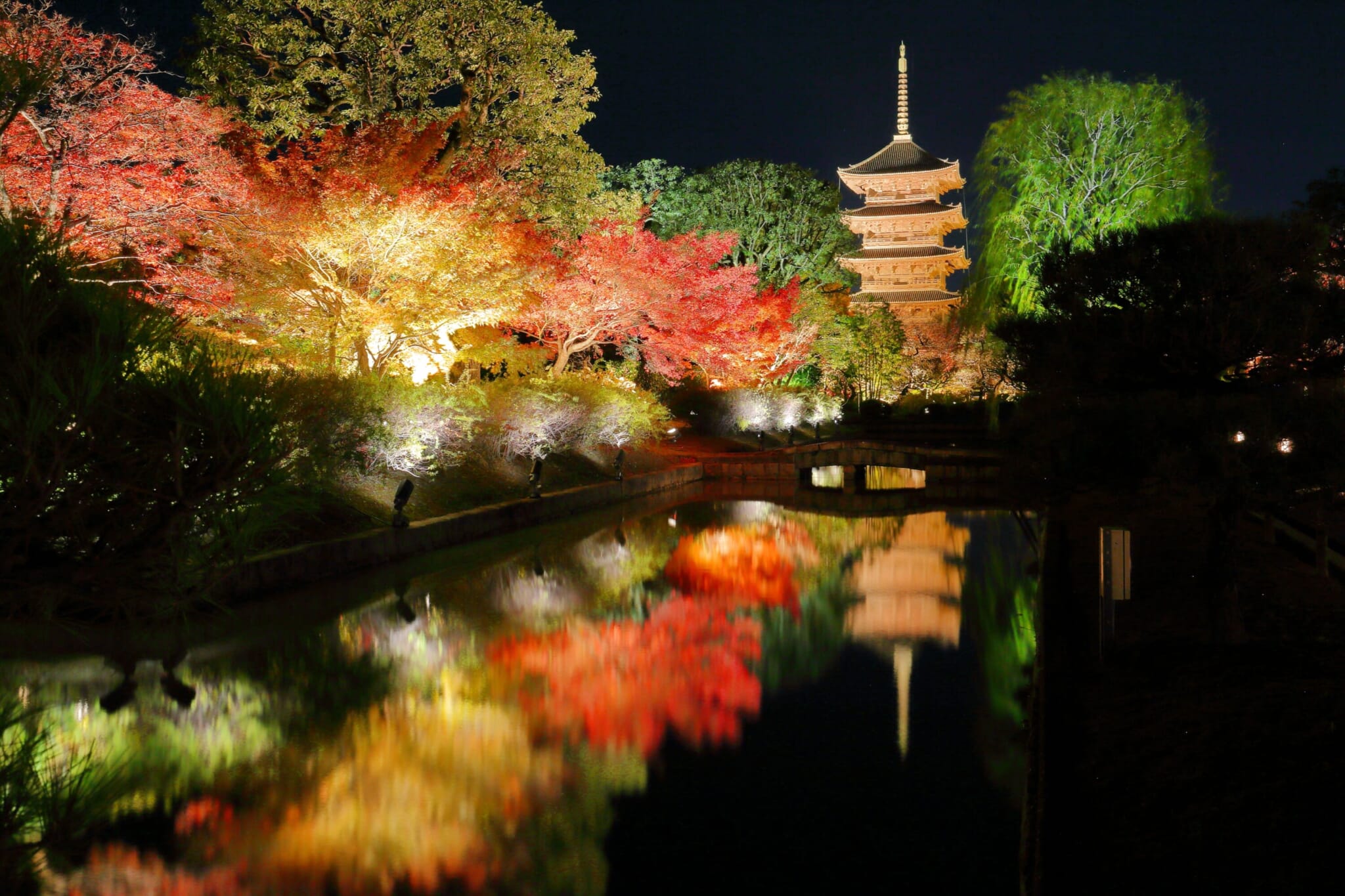 toji temple illumination kyoto autumn night Japanese Maple