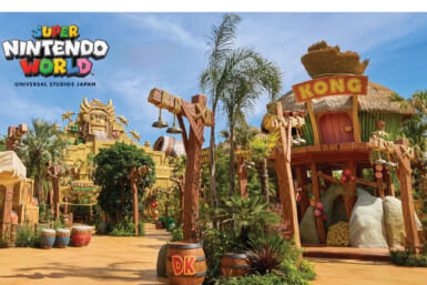 donkey kong country area