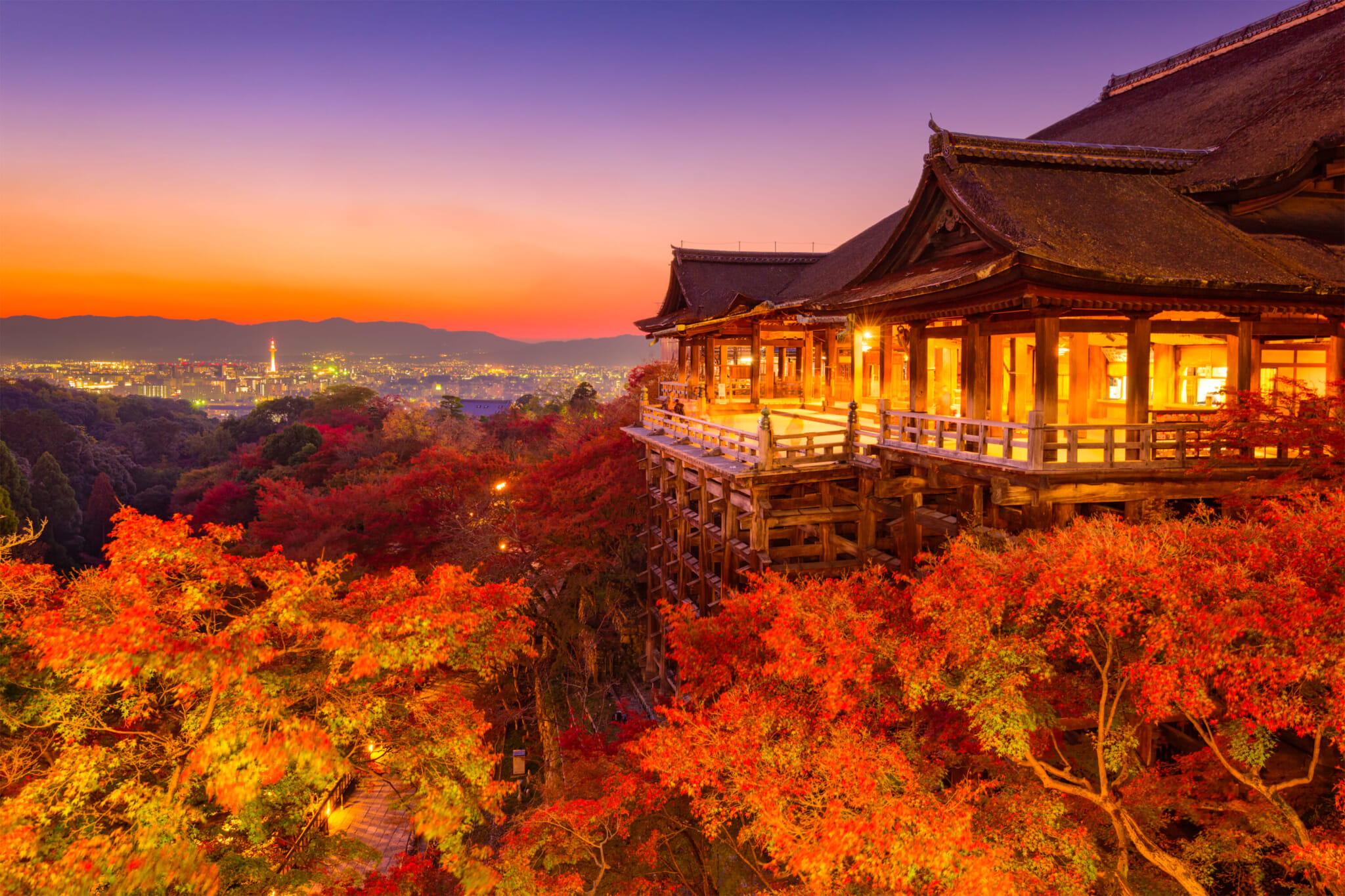 kiyomizu temple autumn kyoto night illumination