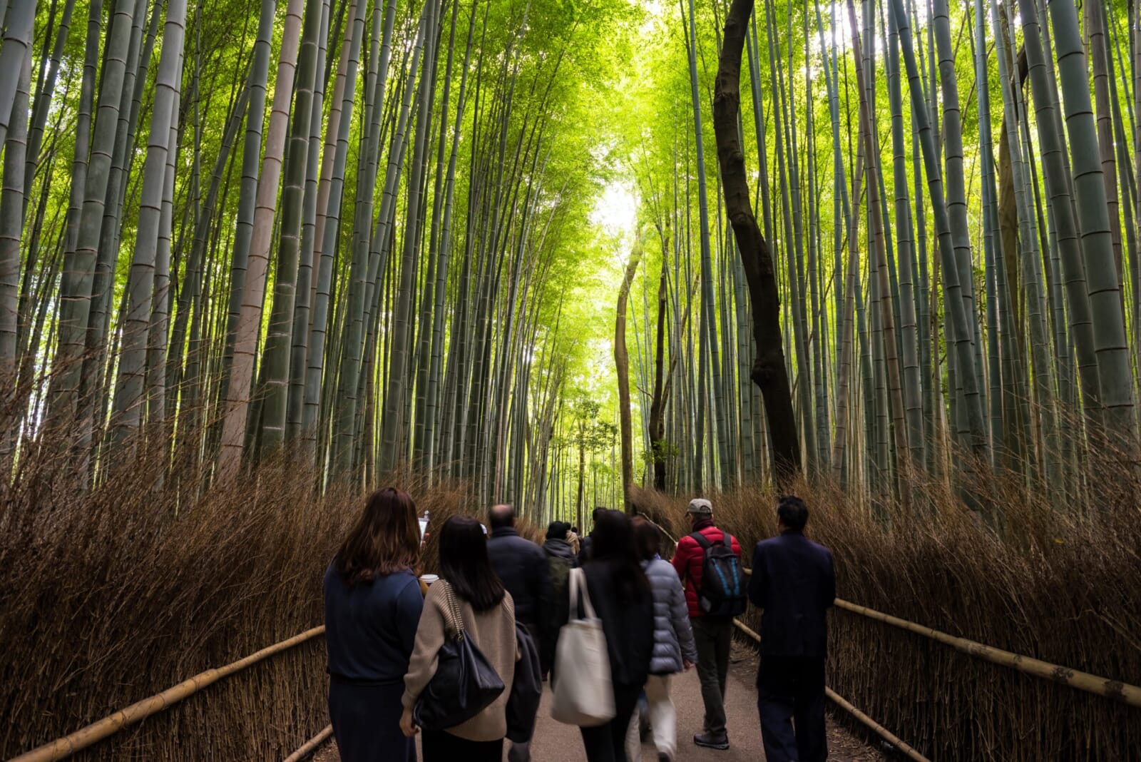 kyoto tourists