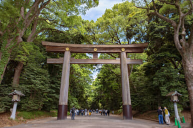 american tourist arrested meiji jingu shrine tokyo