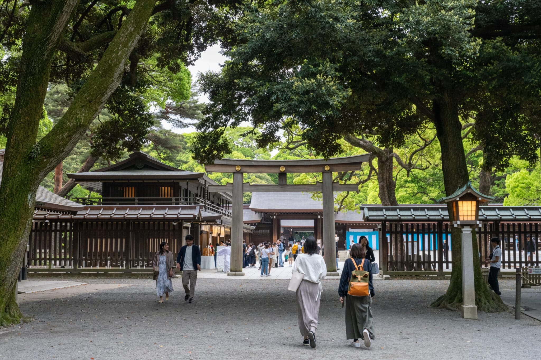 american tourist arrested meiji jingu shrine tokyo