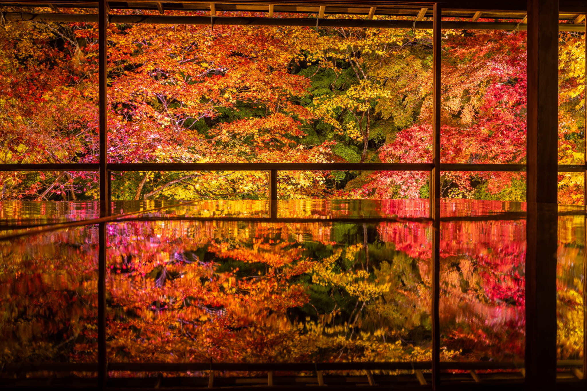 rurikoin kyoto night illumination autumn Japanese Maple