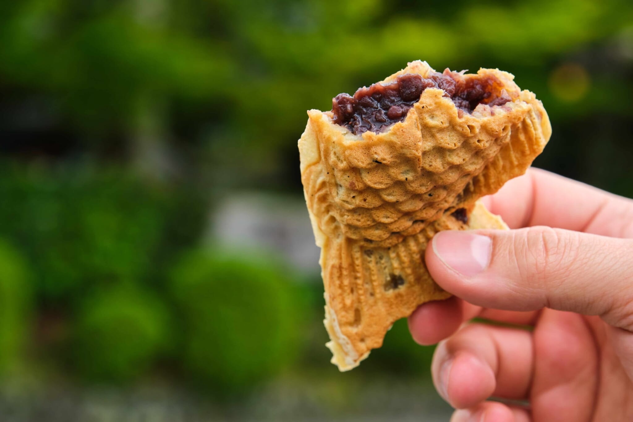 taiyaki head or tail