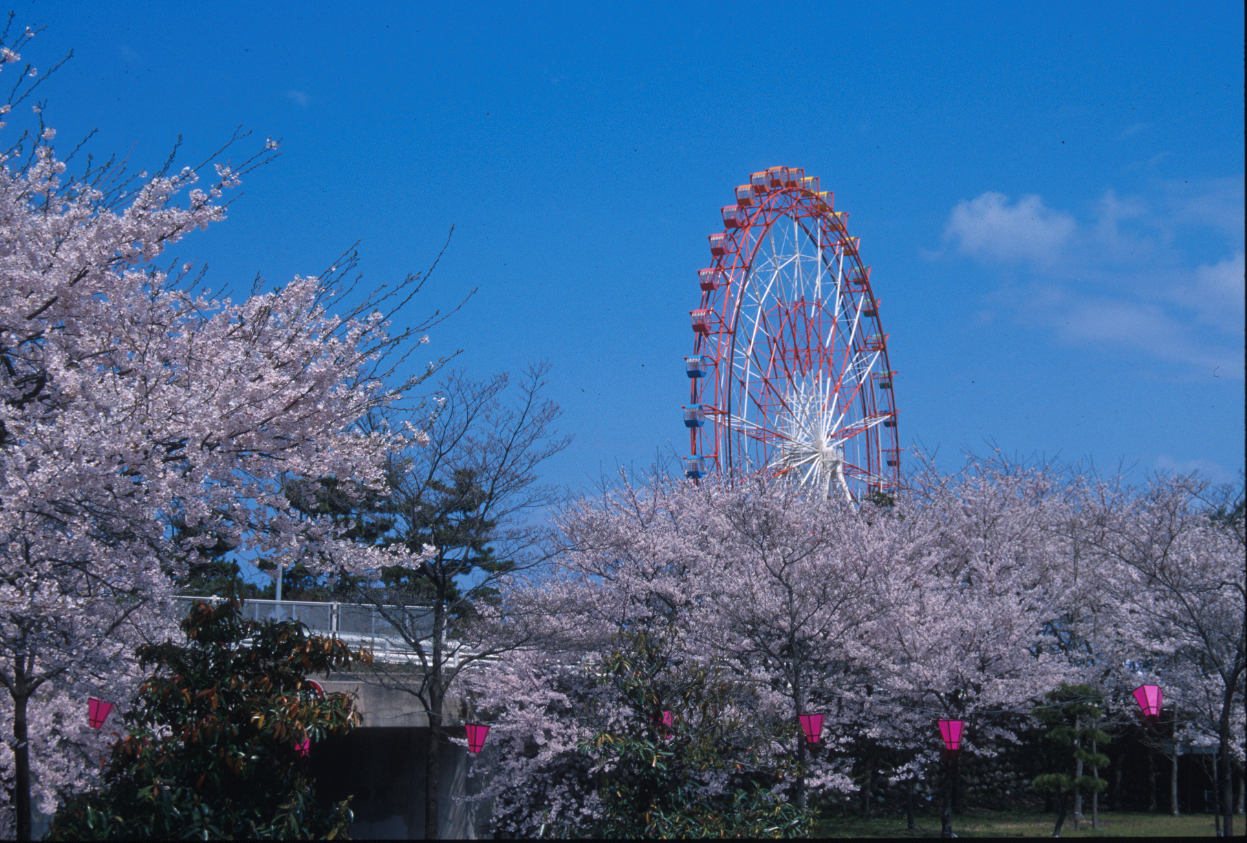 Ferris Wheel