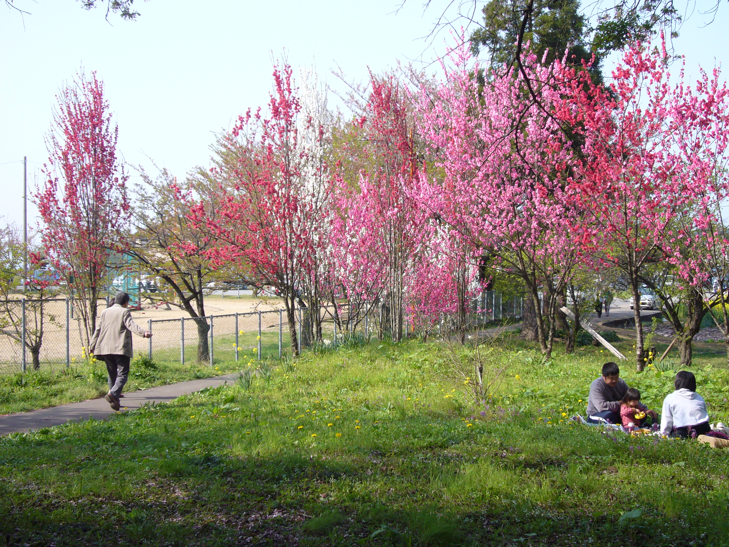 Hana no Mori Tenjinyama Garden