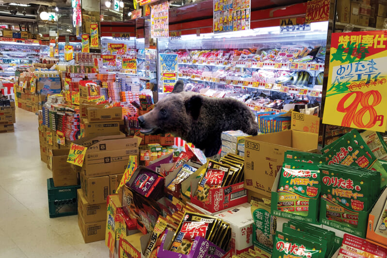 bear in supermarket