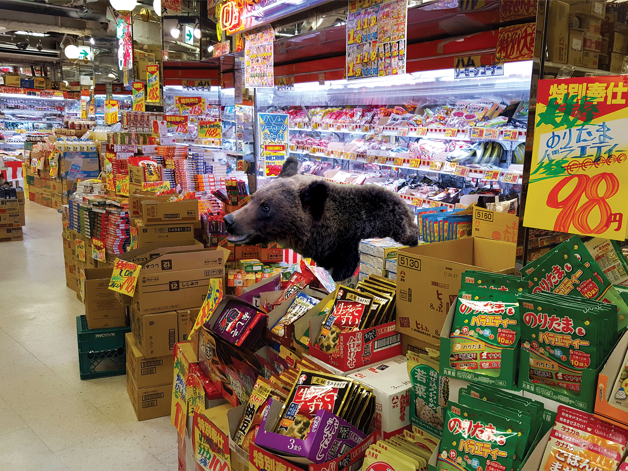 bear in supermarket