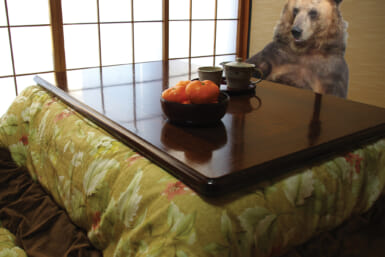 bear kotatsu