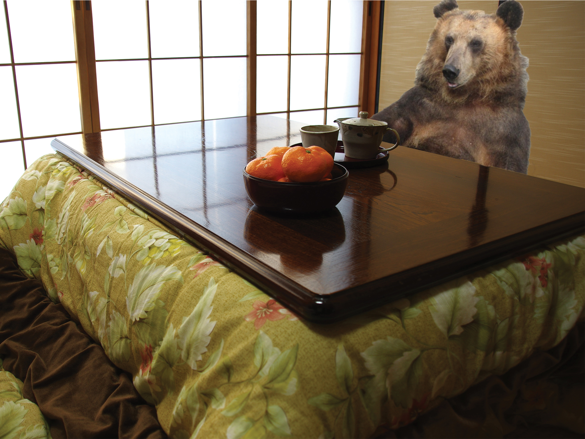 bear kotatsu