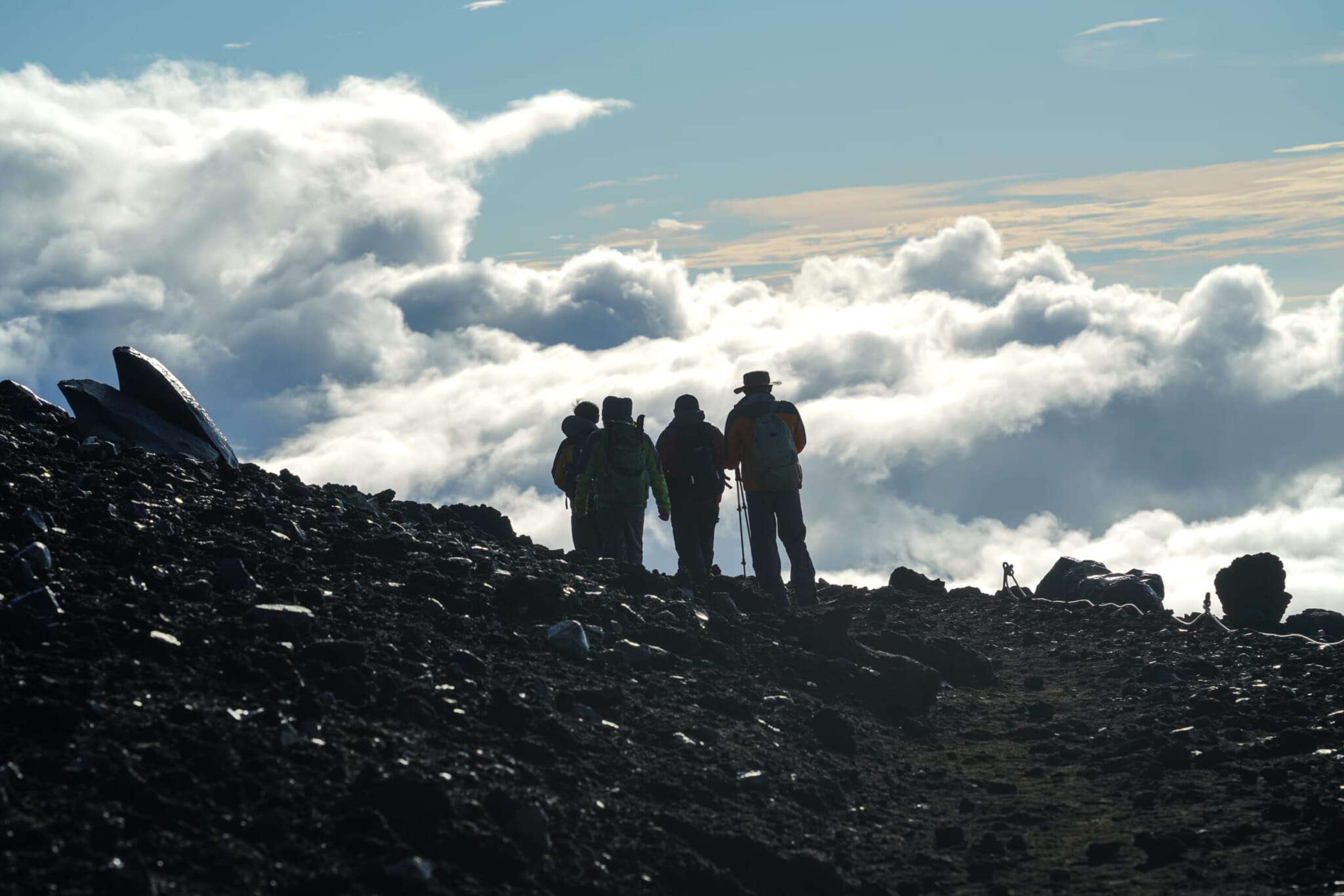 mount fuji fees