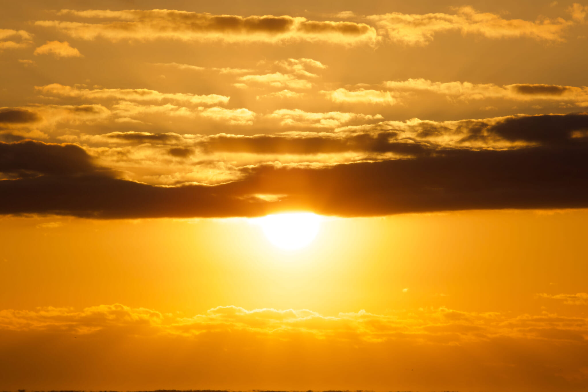 sunrise-hatsuhinode-tokyo